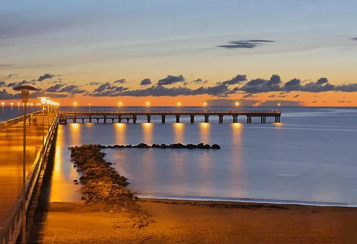 Simpsono Apartamentai Nr.1 פלאנגה